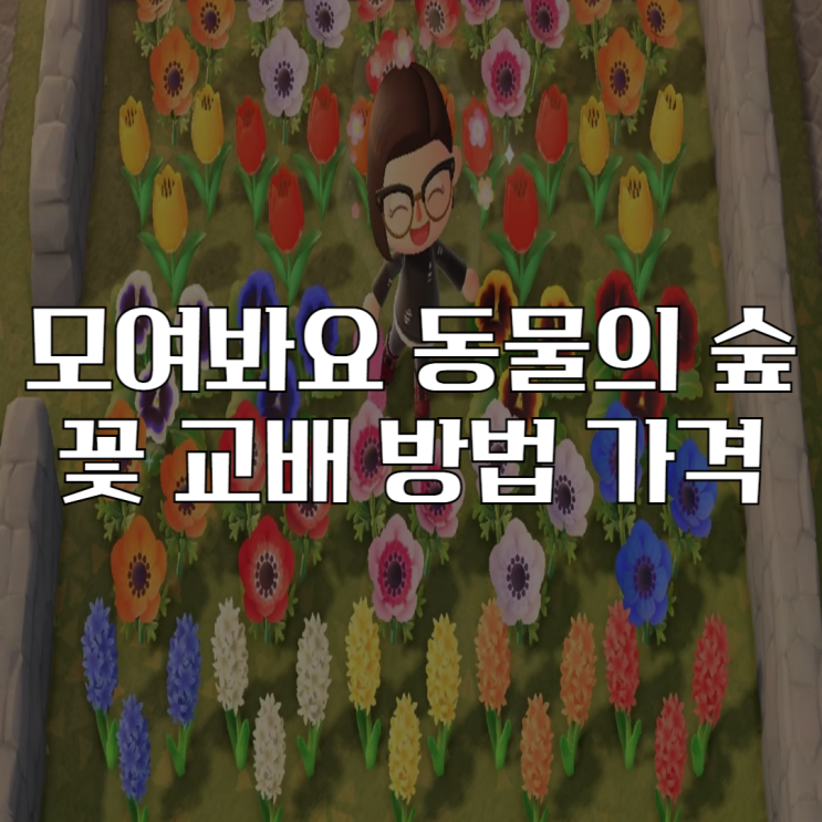  모여봐요 동물의 숲 꽃 교배 방법 및 판매 가격 정리
