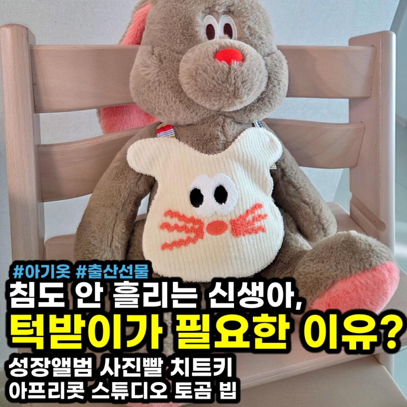 신생아는 턱받이 필요 없다? 아프리콧 스튜디오 토곰 빕이 센스 있는 출산 선물인 이유 (성장....
