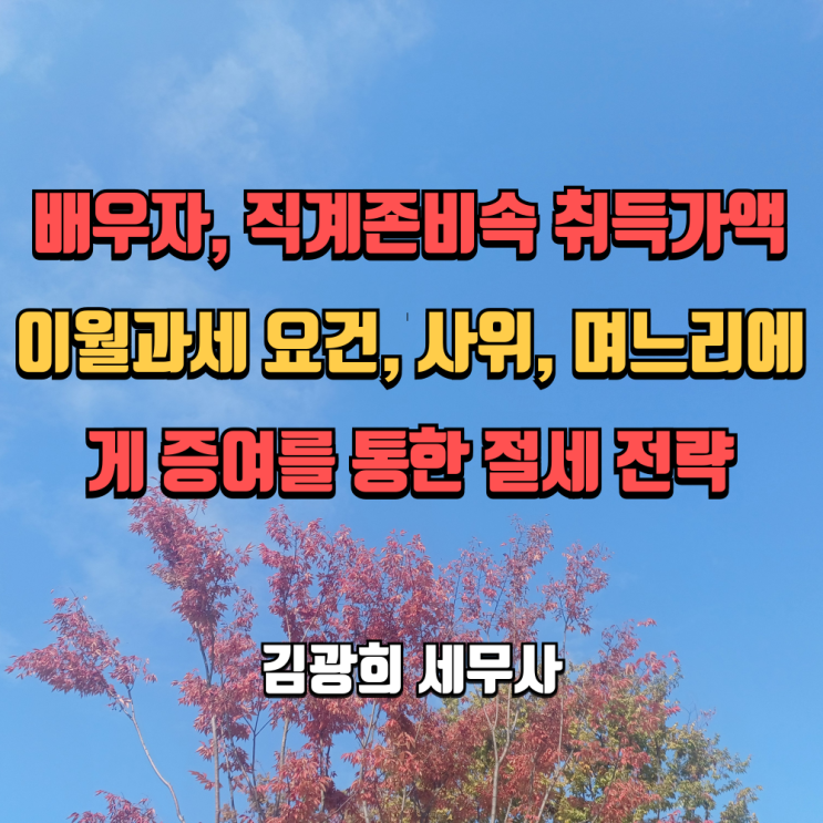  배우자, 직계존비속 취득가액 이월과세 요건, 사위, 며느리에게 증여를 통한 절세 전략