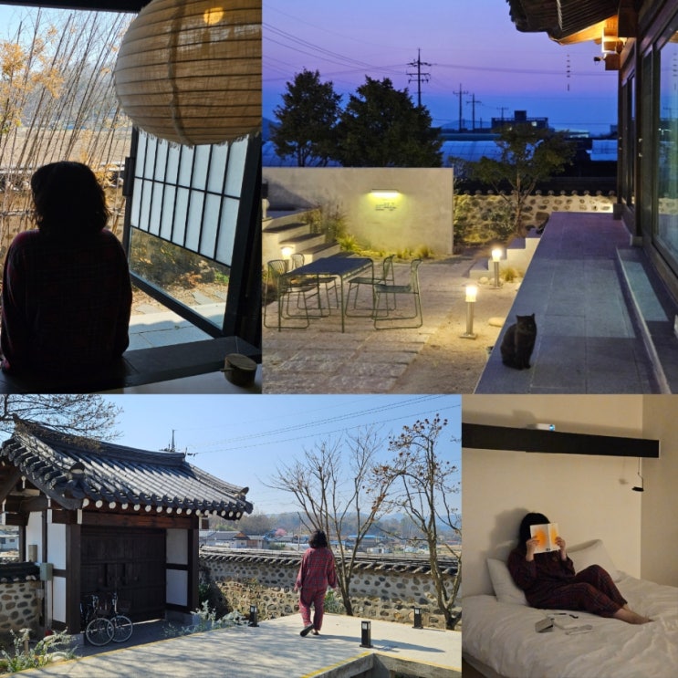  안동 숙소 추천 산온리트릿 독채 한옥 펜션 촌캉스 후기