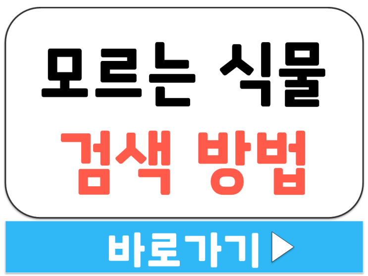  네이버 구글 모르는 식물 꽃 나무 이름 명칭 사진 찍어 찾기 검색 조회 방법