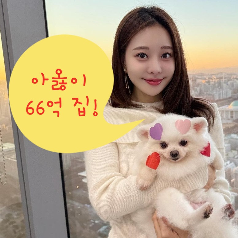 아옳이 집 위치 ! 집안 동네 청담동 어디 삼성 아이파크 주소