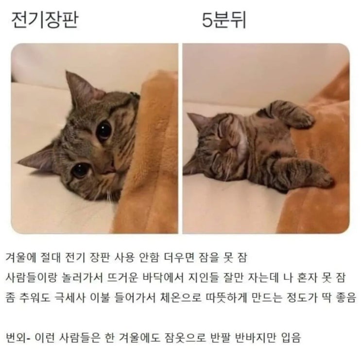  평상시 몸에 열이 많은 사람들 특징.jpg