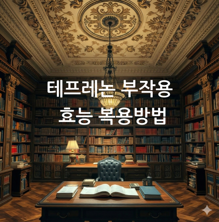  테프레논 부작용 효능 복용방법