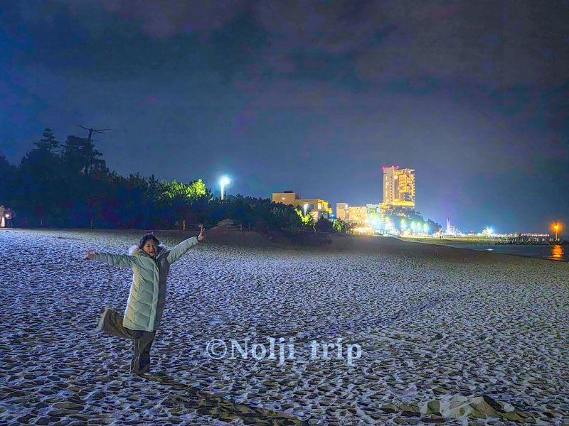 사진 5