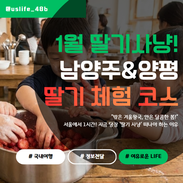 마트 딸기는 잊어라! 1월 제철 '남양주/양평 딸기 체험' 200% 즐기는 풀코스 (맛집+카페)