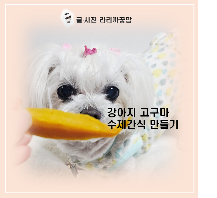  입맛 까다로운 13살 꿍이도 반한 강아지 수제간식 만들기! 에프표 강아지 고구마 말랭이