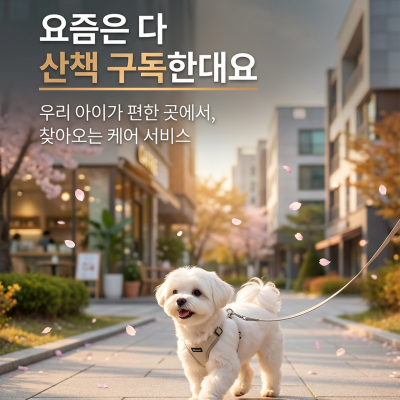 비포펫