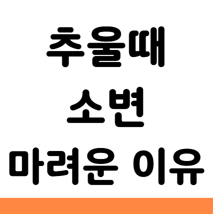  추울때 소변 마려운 이유