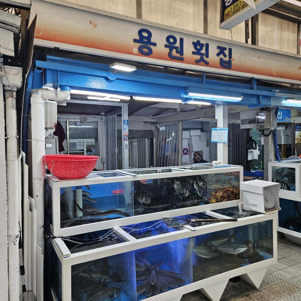용원횟집 사진 3