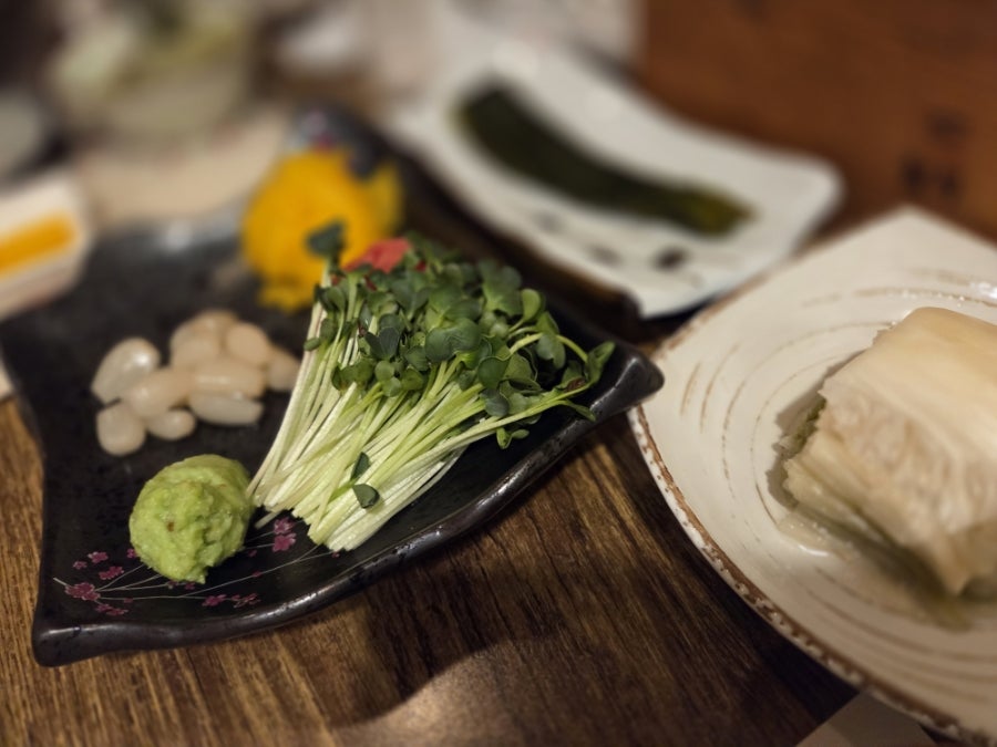 수참치 사진 5