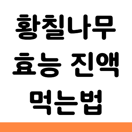  황칠나무 효능 진액 먹는법 부작용