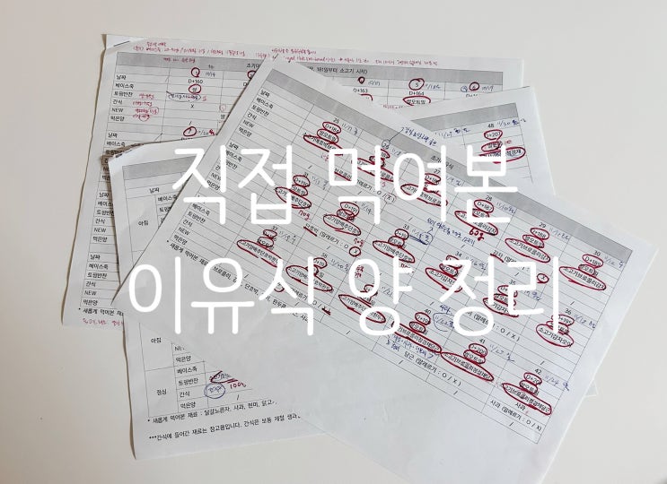  직접 먹여본 이유식 양 정리