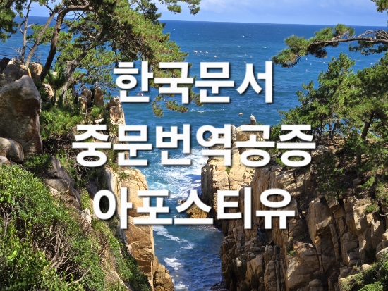  국적취득사실증명서, 기본증명서 중문번역공증 및 아포스티유 진행사례