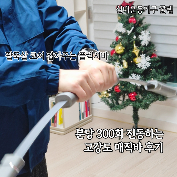  집에서 하는 홈트 팔뚝살 뱃살 날려주는 운동기구 바이탈핏 플렉시바 매직봉 후기