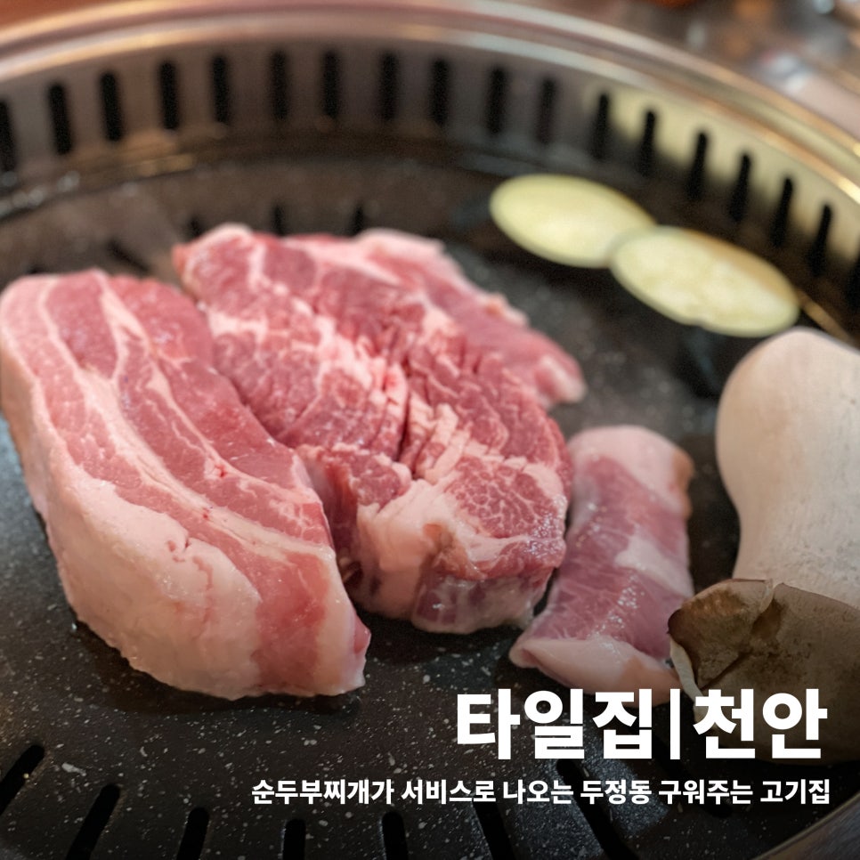 타일집 사진 1