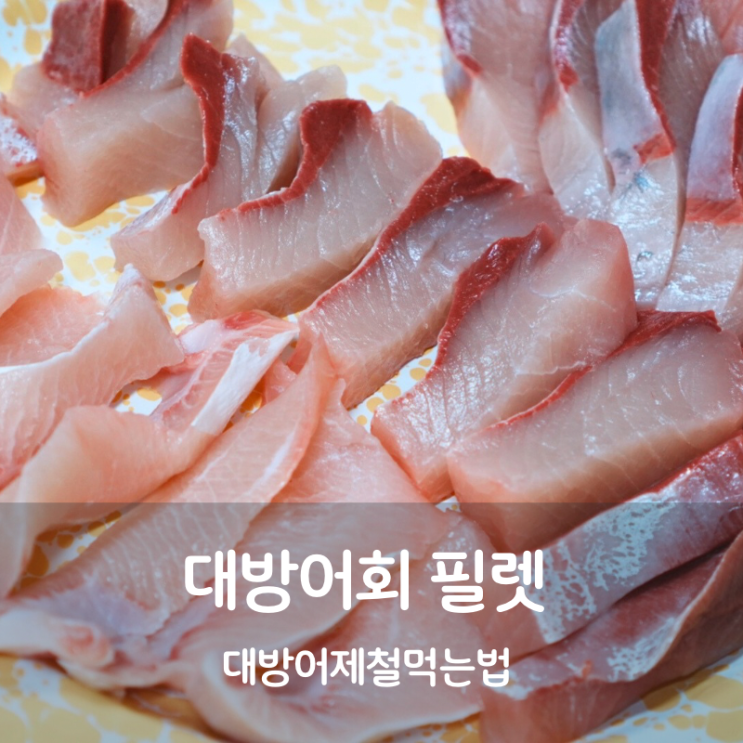  대방어회 가격 제철 대방어 필렛 먹는법
