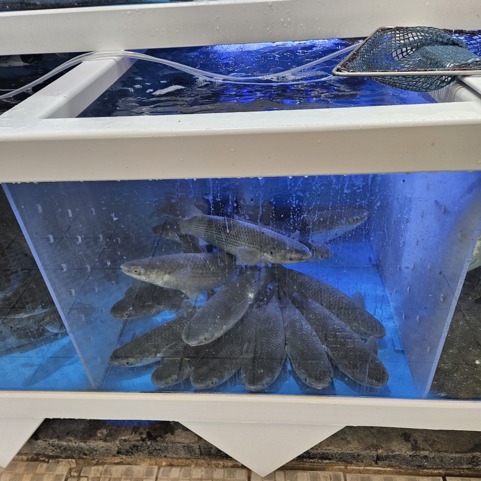 용원횟집 사진 4