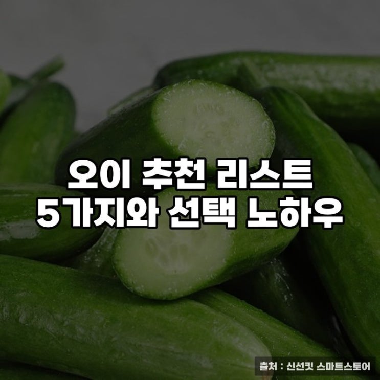  오이 추천 리스트 5가지와 선택 노하우