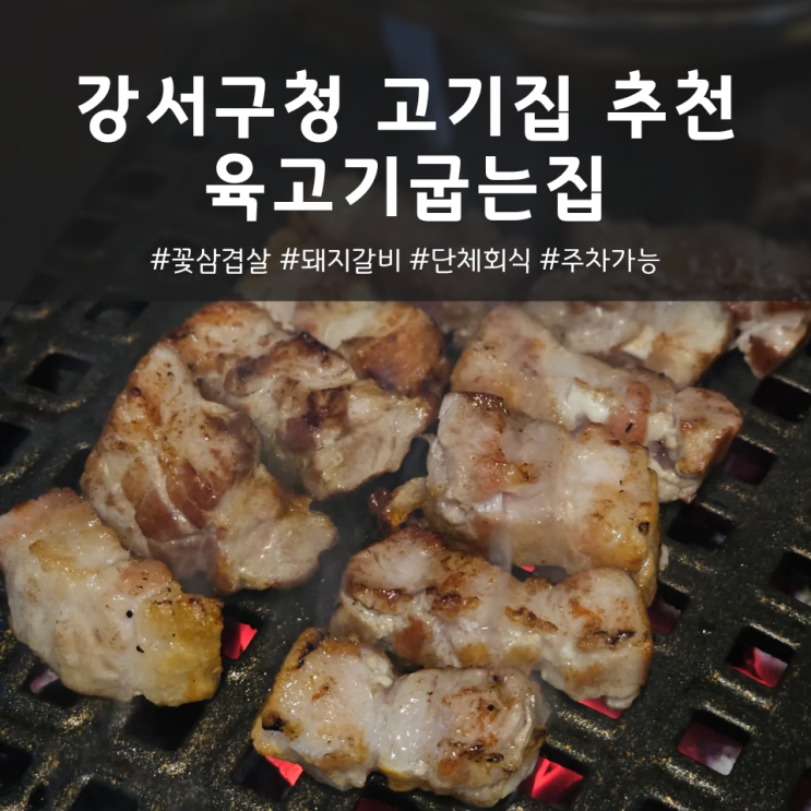  강서구청고기집 추천 육고기굽는집 | 강서구청삼겹살 돼지갈비 둘다 대존맛