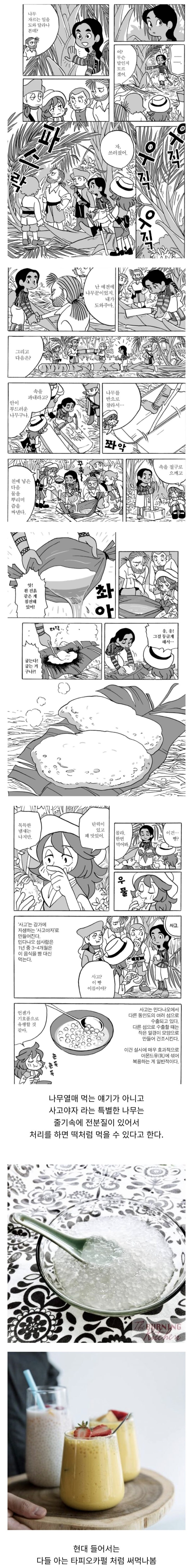  먹을 수 있는 나무 .manhwa