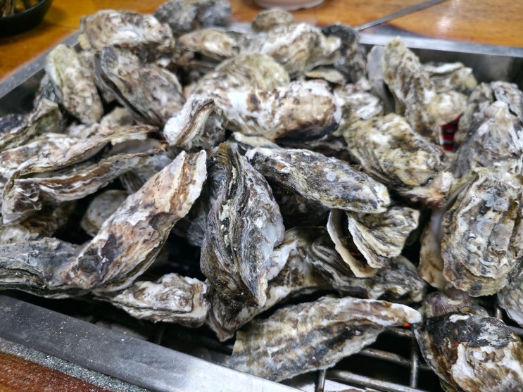  여수 굴구이 돌산 현지인 맛집 원조직화굴구이
