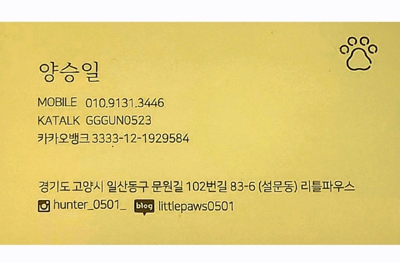 사진 5