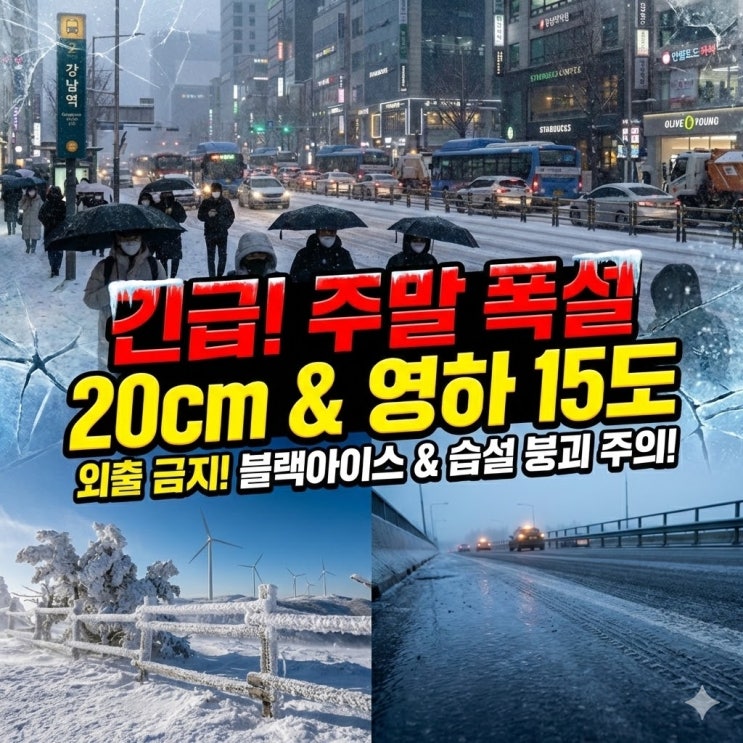  이번 주말 최대 20cm 폭설·영하 15도 한파 눈폭탄보다 더 무서운 '습설'의 정체?"