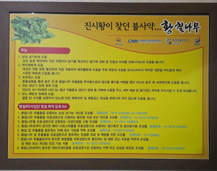 Tamjingangori photo 3