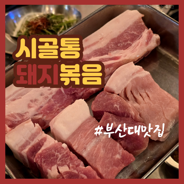  부산대 밥집 술집 시골통돼지볶음 부산대점 부산대 돼지고기 맛집 추천