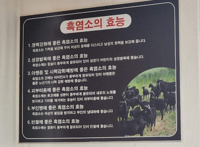 흑염소소탕작전 사진 4