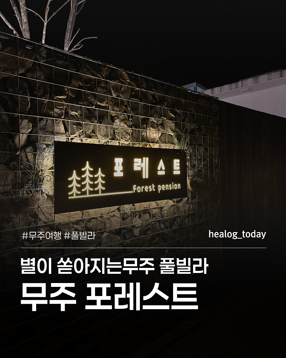 무주포레스트풀빌라 사진 1