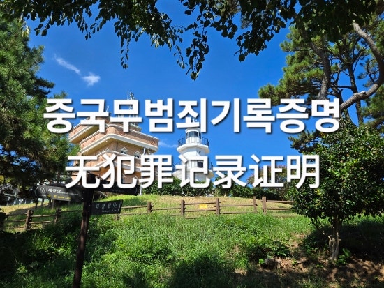  한국거주 중국인 중국본국 무범죄증명 발급 및 아포스티유
