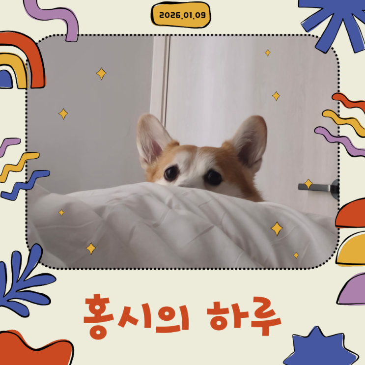  [일상] 2026.01.09 홍시의 하루