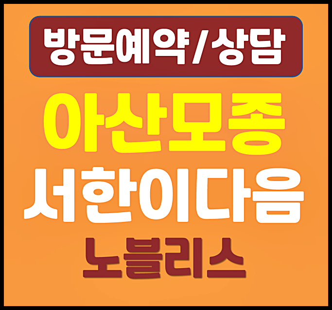  아산 모종 서한이다음 홍보관 평면도 계약금 정보