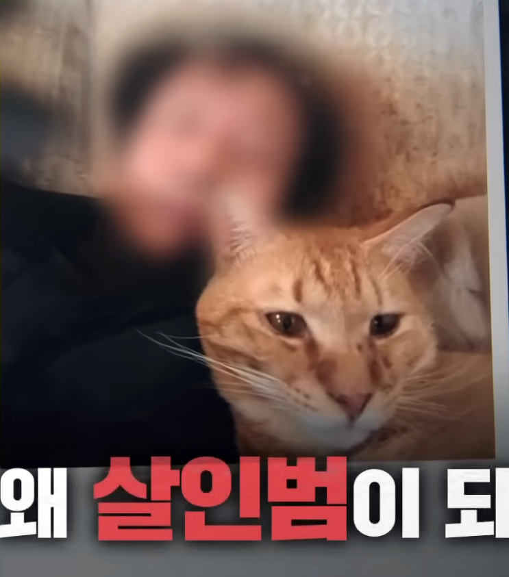 무안 여성 시신유기 사건의 실체 강도살인·시체유기… ‘그것이 알고 싶다’ 1471회
