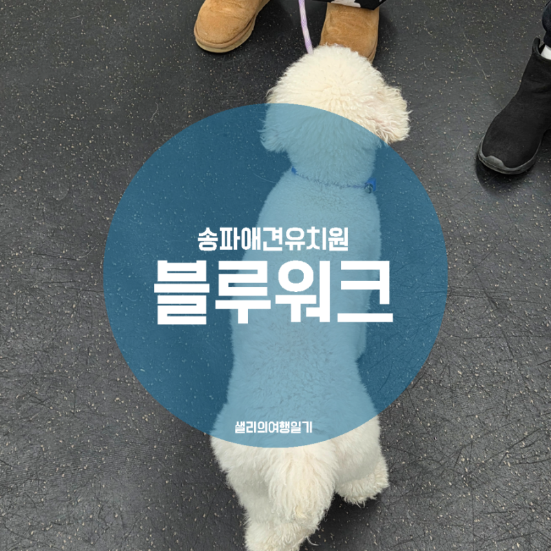 사진 3