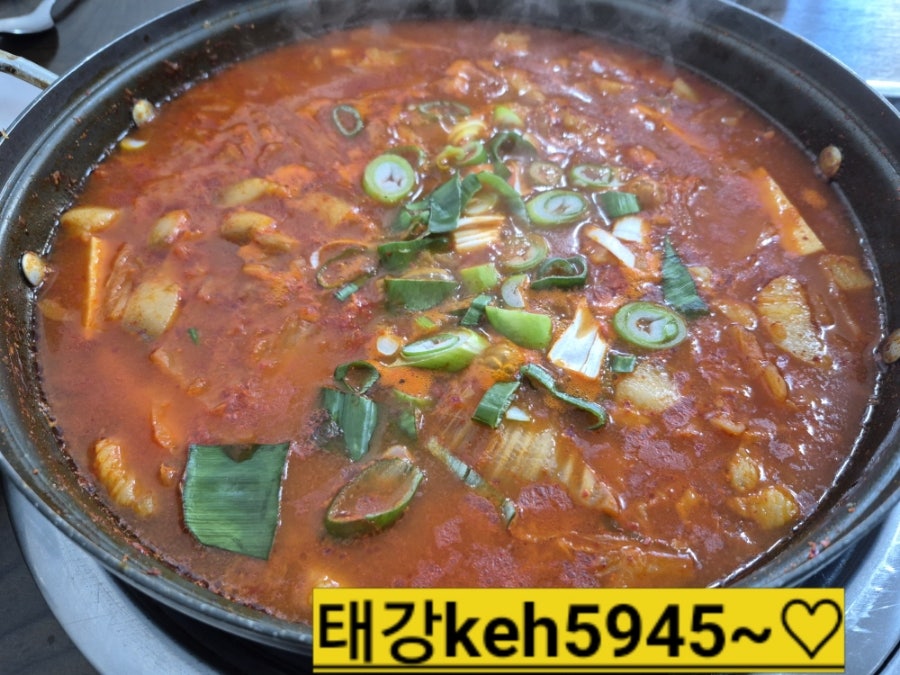 보드레 사진 6