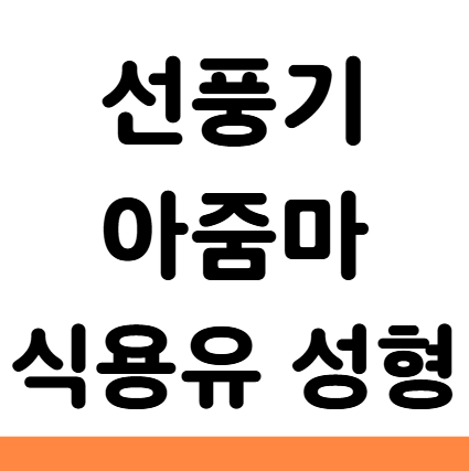  선풍기 아줌마 식용유 불법 성형 부작용