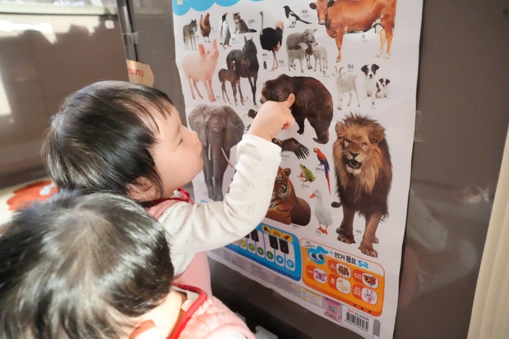  3살 쌍둥이 말문 터지게 한 1등 공신? 콕콕콕 사운드 벽보 3종 세트 내돈내산 찐후기 (동물+과일채소+탈것)