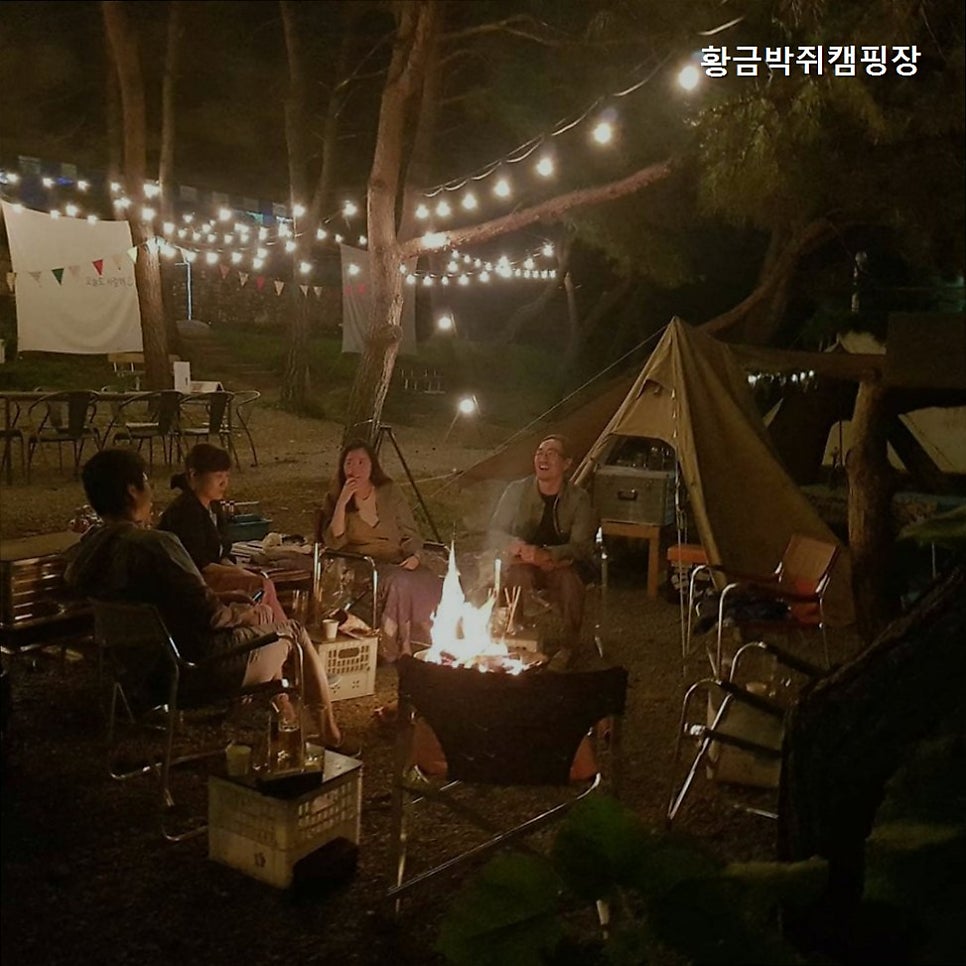 황금박쥐캠핑장 사진 3