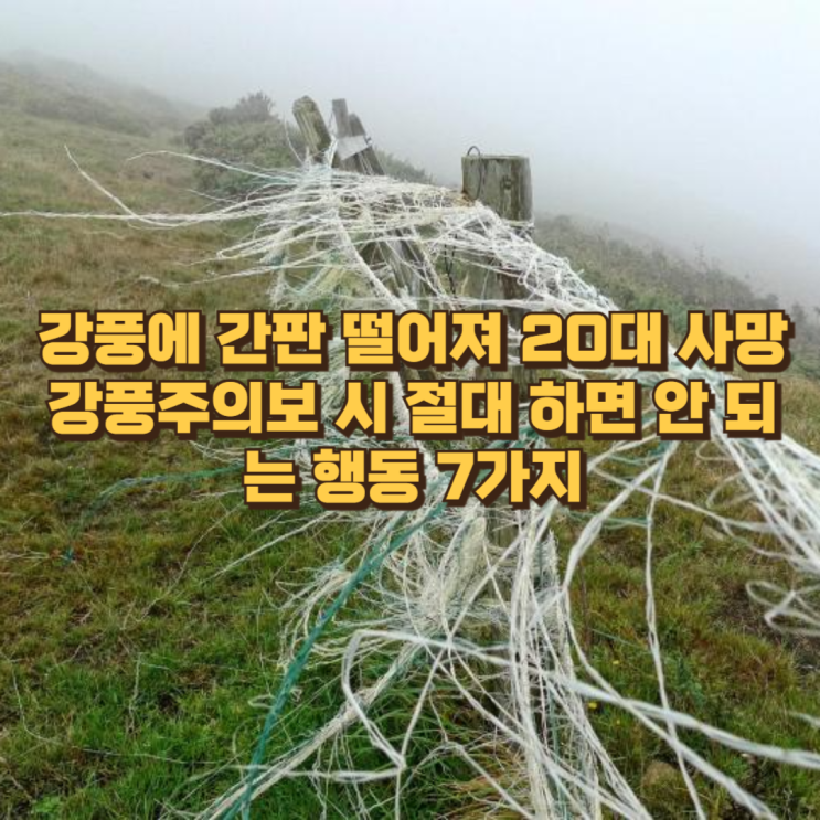  강풍에 간판 떨어져 20대 사망 ： 강풍주의보 시 절대 하면 안 되는 행동 7가지