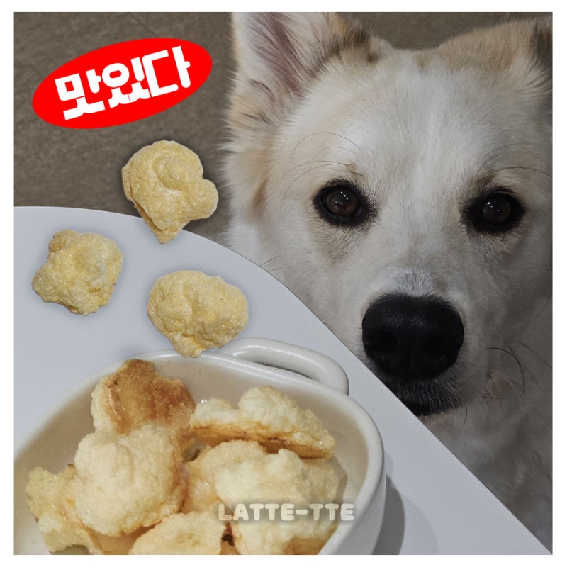 강아지 머랭 쿠키 만들기 에어프라이어 레시피 가성비는 덤
