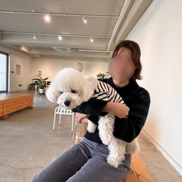  주차 가능한 한남동 카페 낫배드커피 반려동물 실내 동반 가능 카페 추천