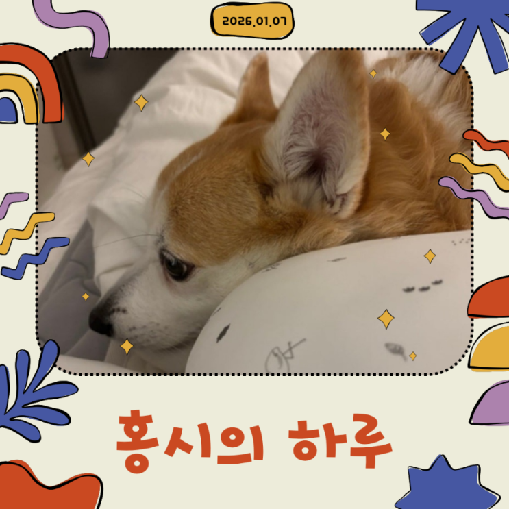  [일상] 2026.01.07 홍시의 하루