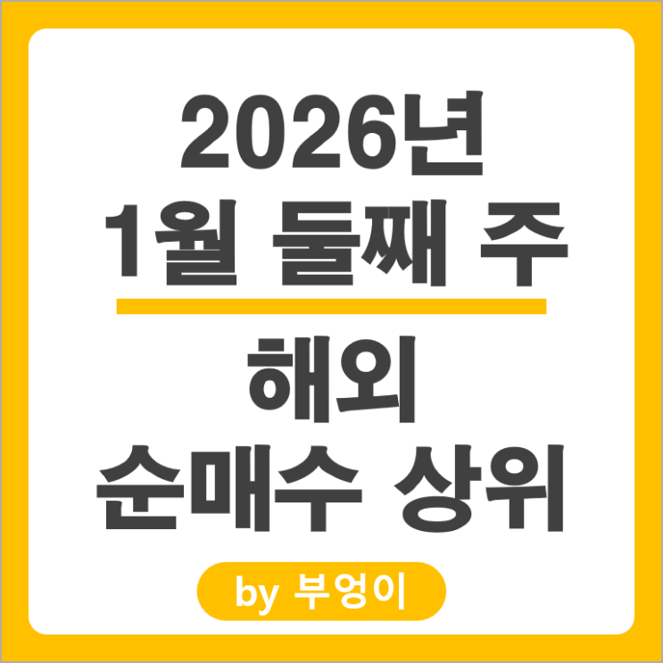 순매수 상위 해외 주식 ETF 테슬라 TSLL 마이크론 VOO 구글 주가