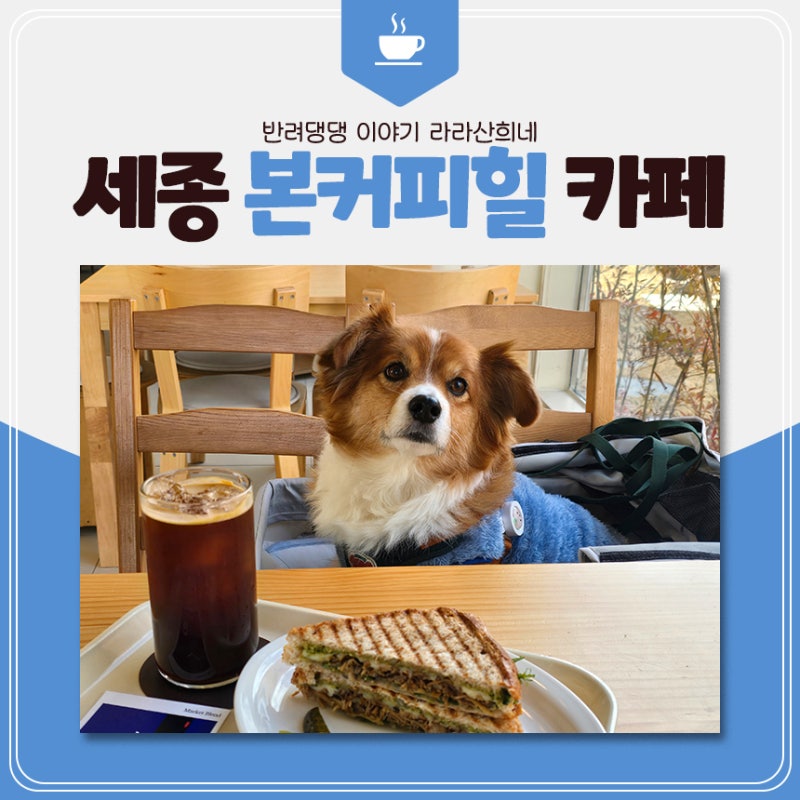 사진 3