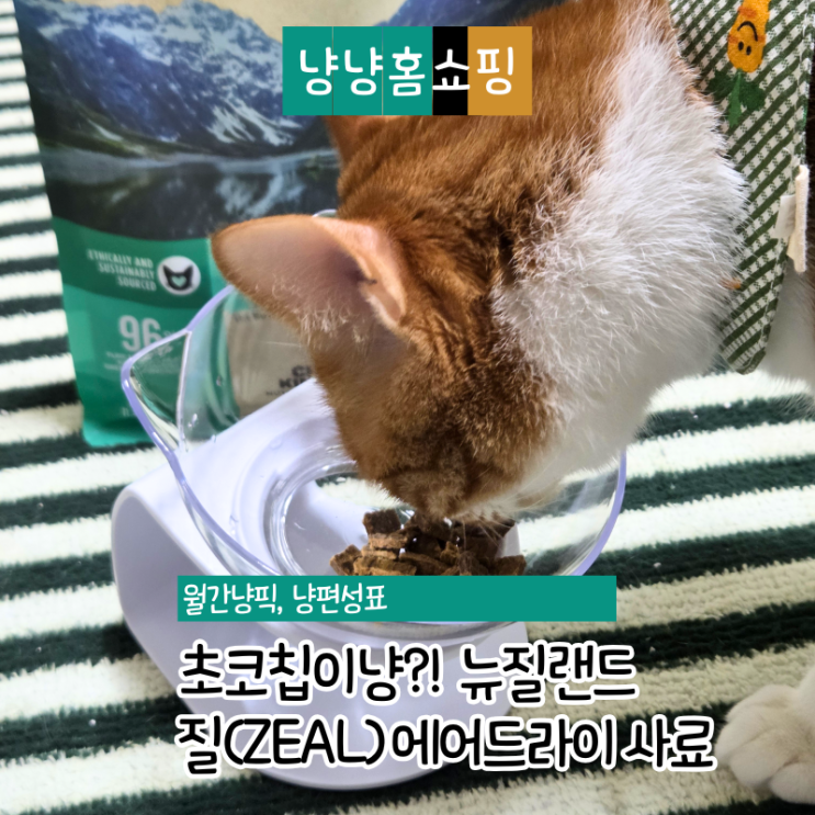  질(ZEAL) 에어드라이 사료 솔직후기 리얼 급여 반응 공개