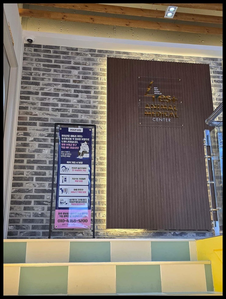  남원동물병원에서 우리 반려동물을 위한 특별한 케어 받는 법