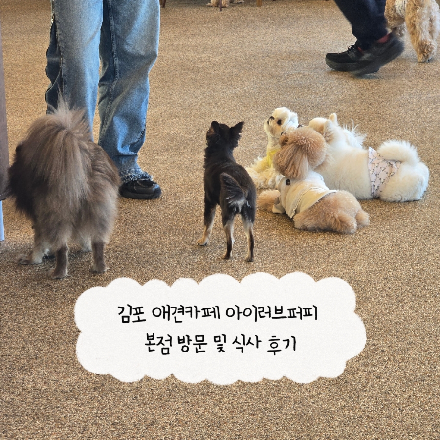 Aireobeupeopi Bonjeom photo 1
